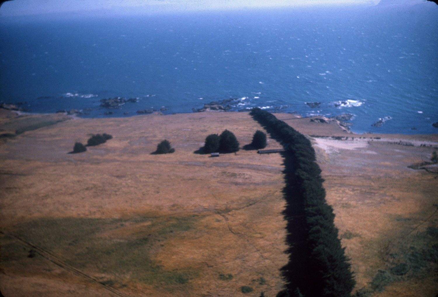 journey-to-the-sea-ranch-aaup-271-jpg-sea-ranch